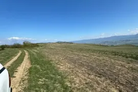 იყიდება მიწის ნაკვეთი, სასოფლო - სამეურნეო, კასპი