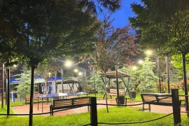 For Rent, 1 Room, Old building, Tbilisi, Districts of Vazha-Pshavela