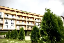 Apartment for sale, 2 Room, New building, Borjomi , Bakuriani