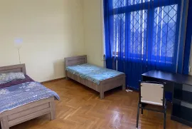 House For Rent, 15 Room, Tbilisi, saburtalo