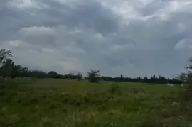 იყიდება მიწის ნაკვეთი, არა სასოფლო - სამეურნეო, სამტრედია