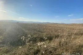 Land For Sale, Agricultural, Bazaleti 