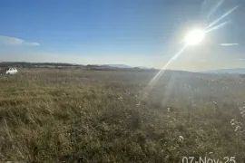 Land For Sale, Agricultural, Bazaleti 