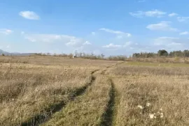 Land For Sale, Agricultural, Bazaleti 