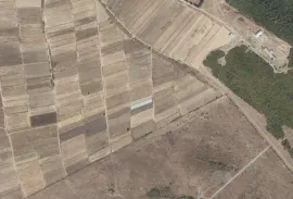 Land For Sale, Agricultural, Bazaleti 
