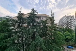 Аренда, 4 Kомнатная, Новостройка, Тбилиси, vake