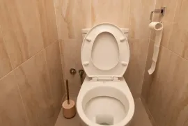 იზოლირებული ტუალეტი