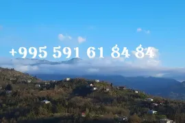 იყიდება სახლი, 3 ოთახიანი, ქობულეთი, საჩინო