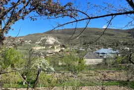 Land For Sale, Agricultural, Kvemo Nichbisi