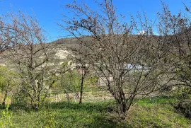 იყიდება მიწის ნაკვეთი, სასოფლო - სამეურნეო, ქვემო ნიჩბისი