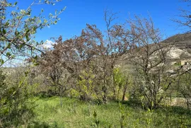იყიდება მიწის ნაკვეთი, სასოფლო - სამეურნეო, ქვემო ნიჩბისი