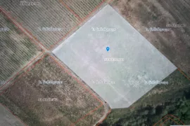Land For Sale, Agricultural, Tsinandali
