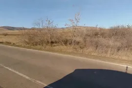 იყიდება მიწის ნაკვეთი, კომერციული
