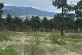 იყიდება მიწის ნაკვეთი, არა სასოფლო - სამეურნეო, კუკია