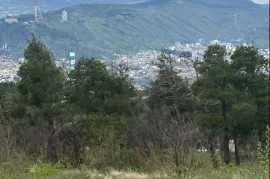 იყიდება მიწის ნაკვეთი, არა სასოფლო - სამეურნეო, კუკია