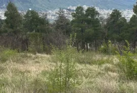 იყიდება მიწის ნაკვეთი, არა სასოფლო - სამეურნეო, კუკია