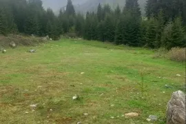 იყიდება მიწის ნაკვეთი, საინვესტიციო, ჰაწვალი