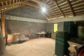 იყიდება, სპეციალური ფართი, წინანდალი