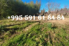 იყიდება მიწის ნაკვეთი, არა სასოფლო - სამეურნეო, ჩაქვი