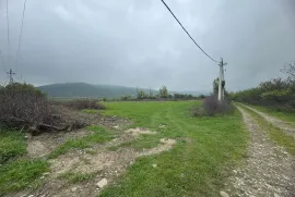 Продается Земля, Сельскохозяйственные, Душети