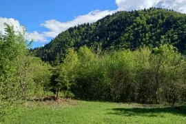 Продается Земля, Сельскохозяйственные, tba 