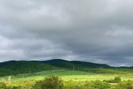 იყიდება მიწის ნაკვეთი, სასოფლო - სამეურნეო, ზედა ეწერი