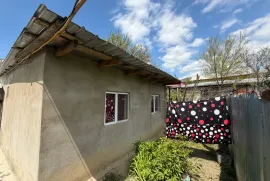 House For Sale, 10 Room, Tbilisi, Avchala