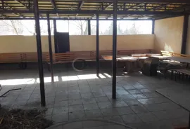 იყიდება, კვების ობიექტი, აეროპორტის დას.