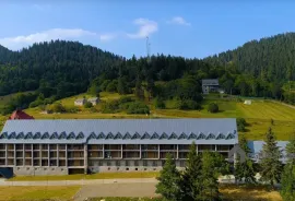 ქირავდება ბინა, 2 ოთახიანი, ახალი აშენებული, ბორჯომი, ბაკურიანი
