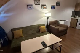 ქირავდება ბინა, 2 ოთახიანი, ახალი აშენებული, ბორჯომი, ბაკურიანი