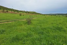Продается Земля, Не Сельскохозяйственный, Озеро Лиси