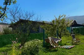 ქირავდება ბინა დღიურად, 5 ოთახიანი, ახალი აშენებული, ბორჯომი, ბაკურიანი