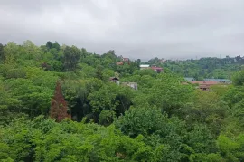 იყიდება სახლი, 5 ოთახიანი, ბათუმი