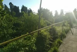 Продается Земля, Сельскохозяйственные