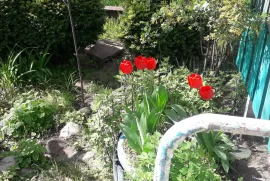 House For Sale, 6 Room, Mtskheta , Mamkoda