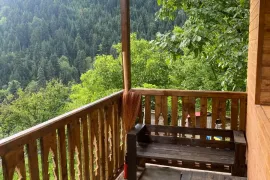 ქირავდება ბინა, 2 ოთახიანი, ახალი აშენებული, ბორჯომი, ცემი