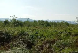 Продается Земля, Не Сельскохозяйственный