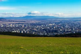 იყიდება მიწის ნაკვეთი, სასოფლო - სამეურნეო, შინდისი