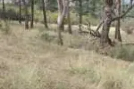 იყიდება მიწის ნაკვეთი, ივერთუბანი
