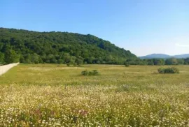 იყიდება მიწის ნაკვეთი, ახალსოფელი 