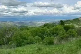 იყიდება მიწის ნაკვეთი, სასოფლო - სამეურნეო, ბეთანია