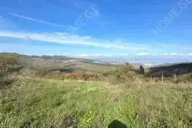 იყიდება მიწის ნაკვეთი, სასოფლო - სამეურნეო, ბეთანია