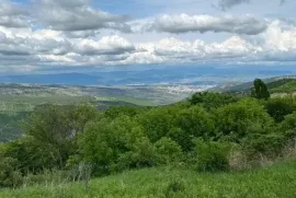 იყიდება მიწის ნაკვეთი, სასოფლო - სამეურნეო, ბეთანია