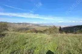იყიდება მიწის ნაკვეთი, სასოფლო - სამეურნეო, ბეთანია