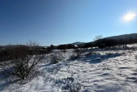 Продается Земля, Сельскохозяйственные, Бетания