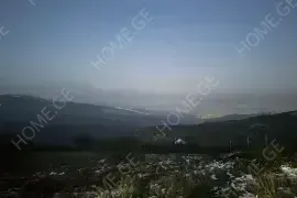 იყიდება მიწის ნაკვეთი, სასოფლო - სამეურნეო, ბეთანია
