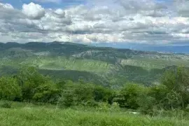 იყიდება მიწის ნაკვეთი, სასოფლო - სამეურნეო, ბეთანია