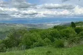 იყიდება მიწის ნაკვეთი, სასოფლო - სამეურნეო, ბეთანია