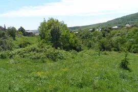 Продается Земля, Сельскохозяйственные, Цавкиси