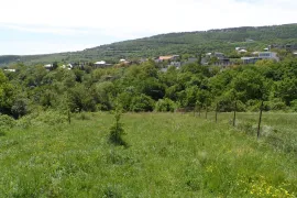 Продается Земля, Сельскохозяйственные, Цавкиси